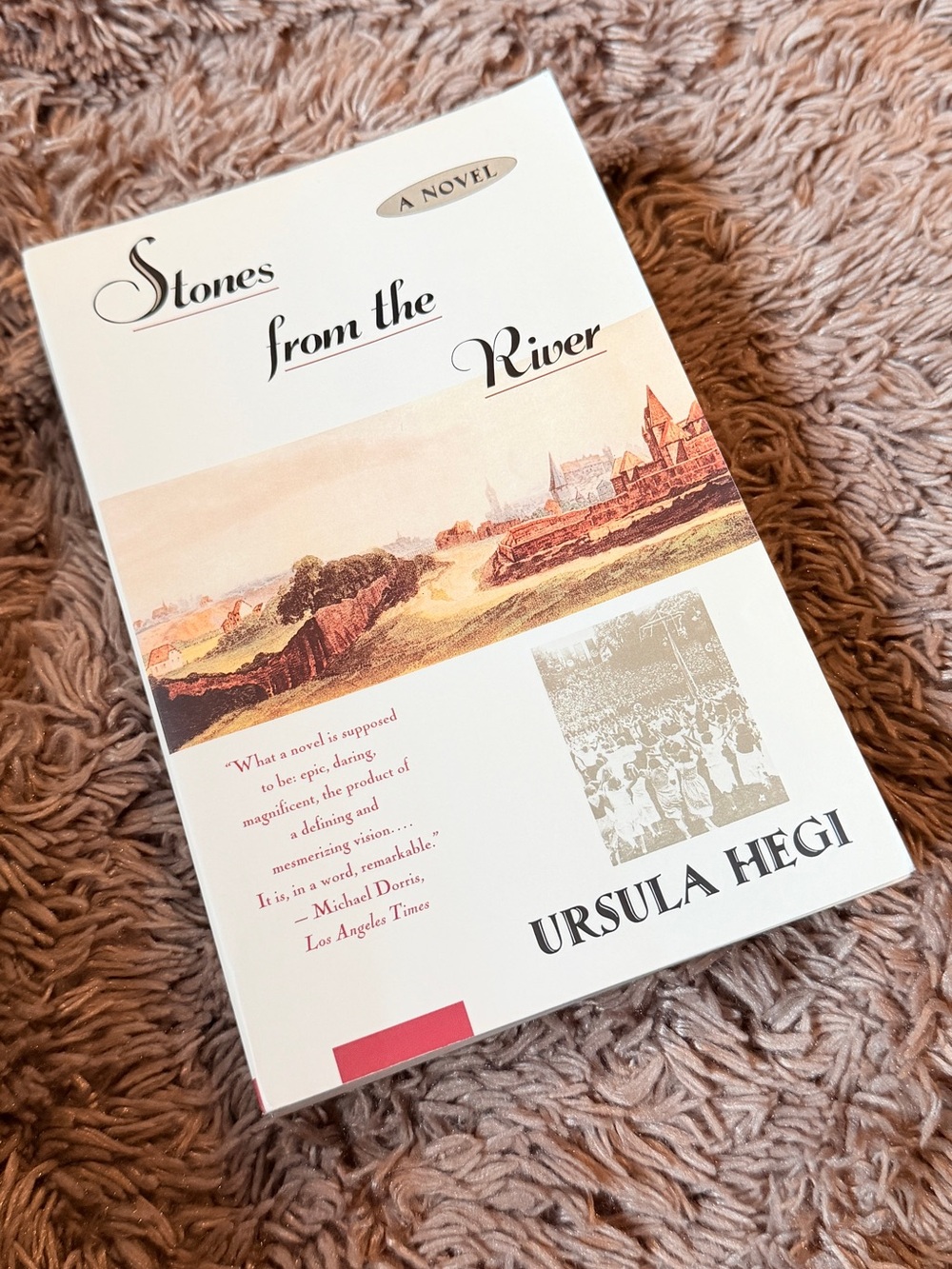 Stones from the River by Ursula Hegi drama books historical fiction novels